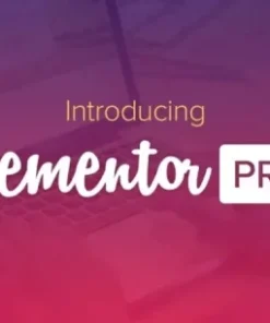 Elementor PRO WordPress Page Builder - Latest Version
