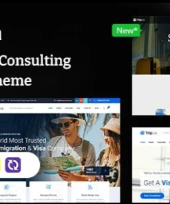 Tripzia – Immigration Consulting WordPress Theme + RTL