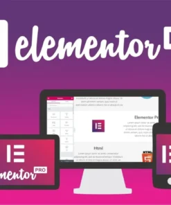 Elementor Pro I ANOVA Web Solutions